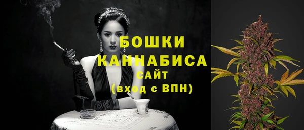 гашик Осинники