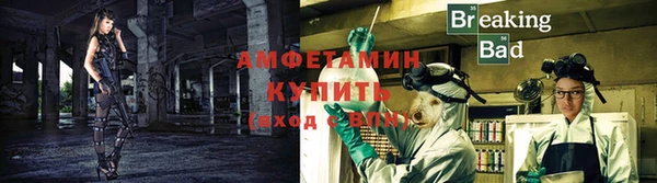 гашик Осинники
