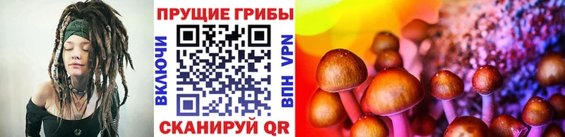 блэк спрут зеркало  купить закладку  Тавда  Галлюциногенные грибы Psilocybine cubensis 